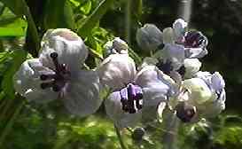 �A�P�r ����