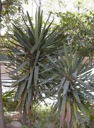 �A�c�o�L�~�K������ �S��