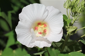 �t���E ��(2010/09/25,���s�E������)