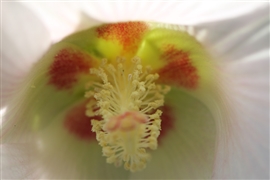 �t���E �������Ă��邨����(2010/09/25,���s�E������)