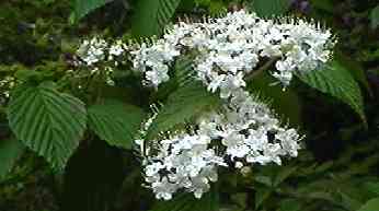 �K�}�Y�~ ��