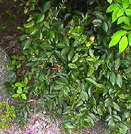 �q�T�J�L �S��