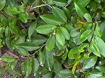 �q�T�J�L �t