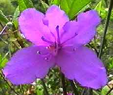 �R�o�m�~�c�o�c�c�W ��