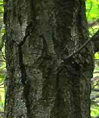 �R�i�� ����