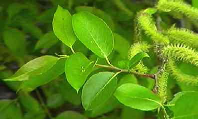 �}���o���i�M �t