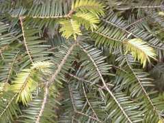 ���~ ��}(2000.5.3 ������s����)