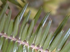 ���~ �s���Q��􂷂�t��<br>(2000.5.3 ������s����)