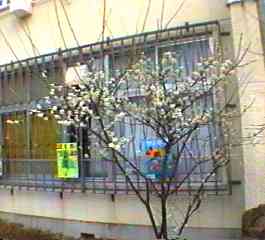 �E�� �S��