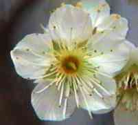 �E�� ���~