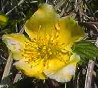 ���}�u�L ��