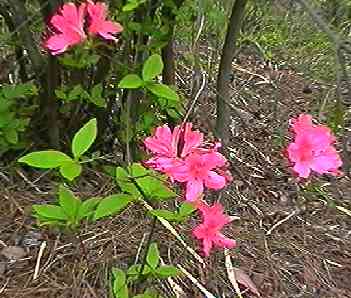 ���}�c�c�W �S��