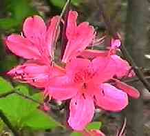 ���}�c�c�W ��