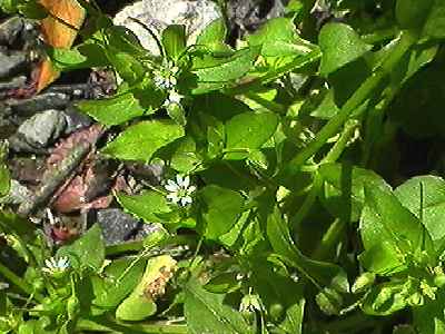 �~�h���n�R�x �S��2