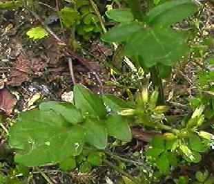 �n���U�L���}�K���V �t