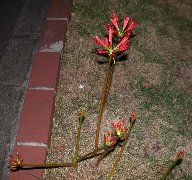 �q�K���o�i �Q<br>(2002.9.25 ���ɋ�˖{��)