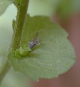 �L�L���E�\�E �t(2000.6)