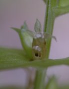 �L�L���E�\�E�Q �ʎ�(2000.6)