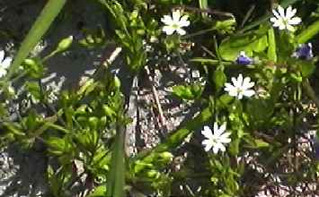 �n�R�x�@�S��