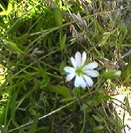 �n�R�x�@��