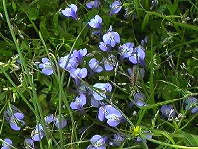 �����T�L�T�M�S�P �S��