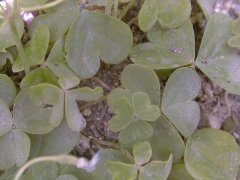 �����T�L�J�^�o�~ �t(2000.6)