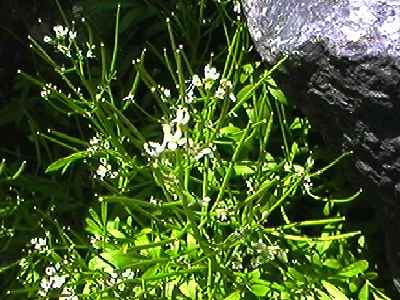 �~�Y�^�l�c�P�o�i ��