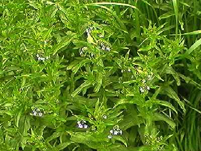 �I�I�J���a�V�� �S��