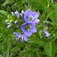 �I�I�J���a�V�� ��