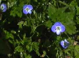 �I�I�C�k�m�t�O�� �S��