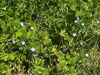 �I�I�C�k�m�t�O�� �S��