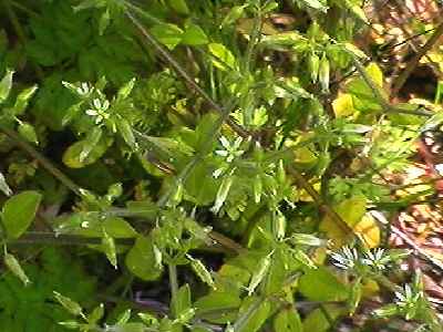 �I�����_�~�~�i�O�T�@�S��