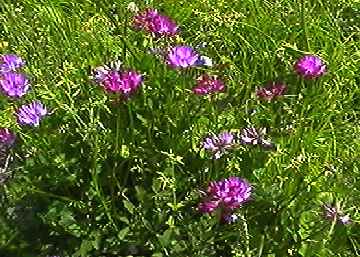 �����Q�\�E �S��