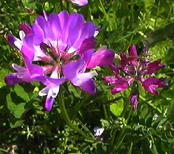 �����Q�\�E ��