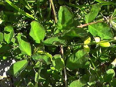 �����Q�\�E �t