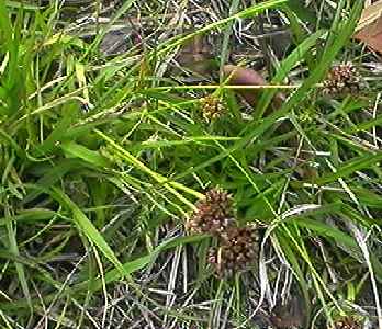 �X�Y���m���� �S��