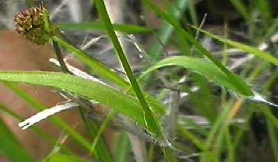 �X�Y���m���� �t