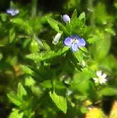 �^�`�C�k�m�t�O�� �S��