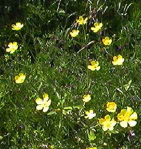 �E�}�m�A�V�K�^ �S��