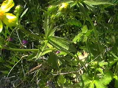 �E�}�m�A�V�K�^ �t