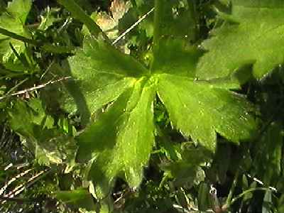 �E�}�m�A�V�K�^ �t